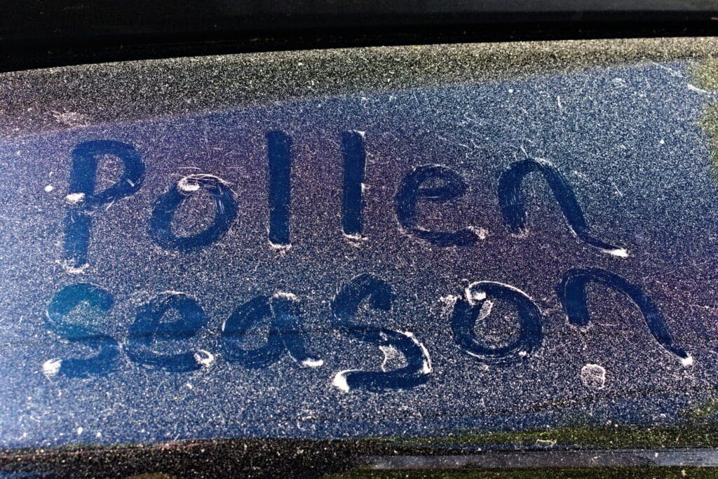 The words Pollen Season written on a pollen covered car window in the South during the spring allergy season..