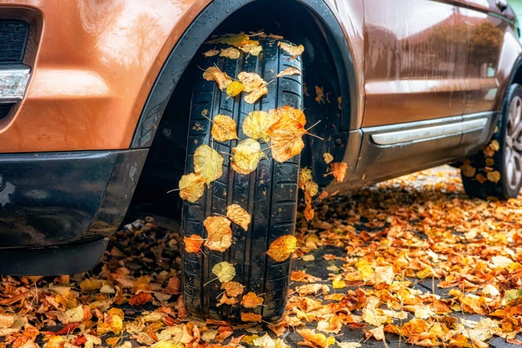 Wet autumn leaves cling to a car tire and lie scattered on the ground, illustrating seasonal weather, fallen foliage and everyday autumn driving conditions.